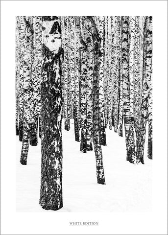 White Edition 1 | PLAKAT Plakat MF