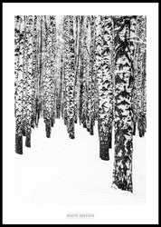 White Edition 2 | INDRAMMET BILLEDE Indrammet billede MF 30x40 Sort