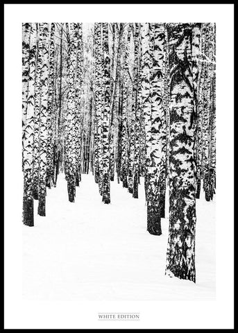 White Edition 2 | INDRAMMET BILLEDE Indrammet billede MF 30x40 Sort