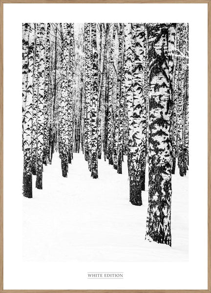 White Edition 2 | INDRAMMET BILLEDE Indrammet billede MF 30x40 Egeramme