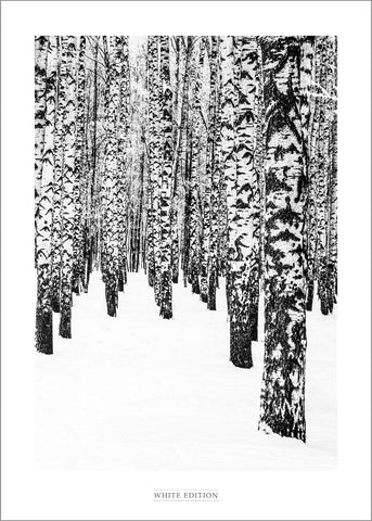 White Edition 2 | PLAKAT Plakat MF