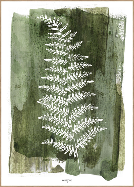 White Fern | INDRAMMET BILLEDE Indrammet billede MF