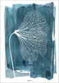 White Ginkgo | PLAKAT