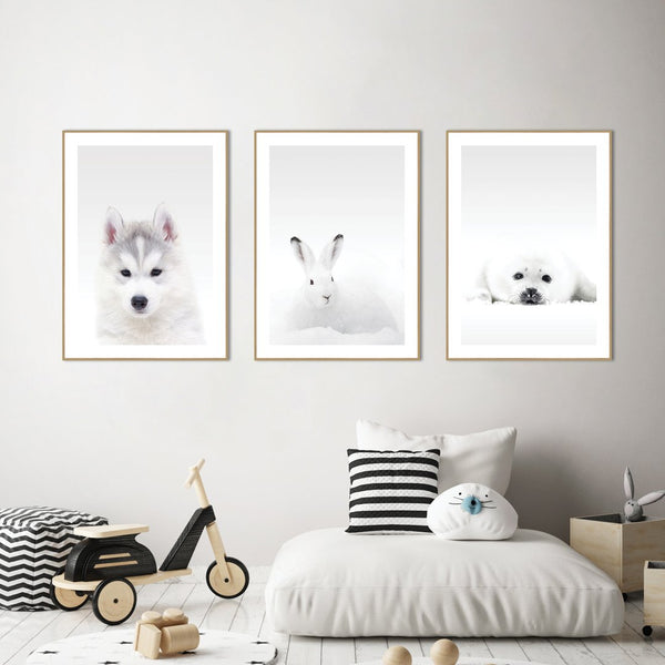 White Rabbit | INDRAMMET BILLEDE Indrammet billede MF