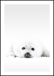 White Seal | INDRAMMET BILLEDE Indrammet billede MF 30x40 Sort