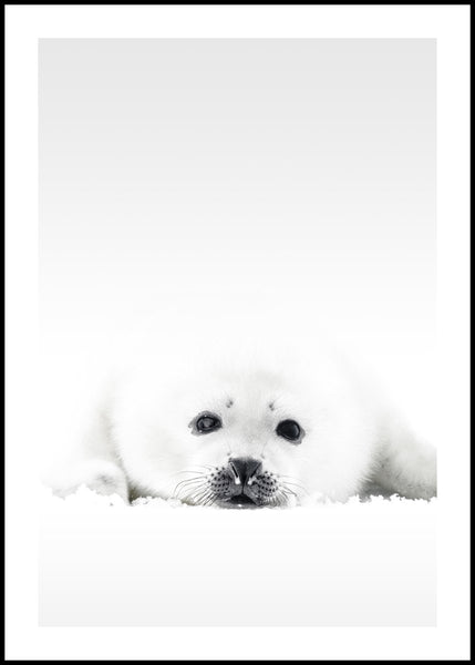 White Seal | INDRAMMET BILLEDE Indrammet billede MF 30x40 Sort