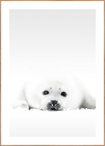White Seal | INDRAMMET BILLEDE Indrammet billede MF 30x40 Egeramme
