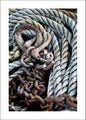 Blue rope | PLAKAT