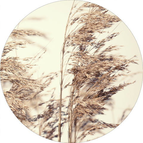 Reed 1 | CIRCLE ART Circle Art ART COPENHAGEN   