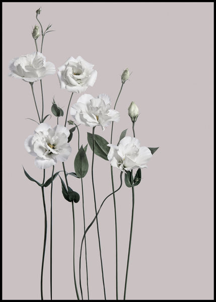 Flower1 | INDRAMMET BILLEDE Indrammet billede MF