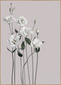 Flower1 | INDRAMMET BILLEDE