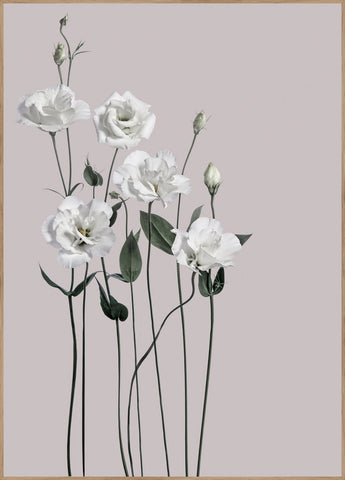 Flower1 | INDRAMMET BILLEDE Indrammet billede MF