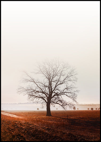 Graceland | INDRAMMET BILLEDE Indrammet billede MF 30x40 Sort