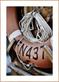 Lifebuoy | INDRAMMET BILLEDE