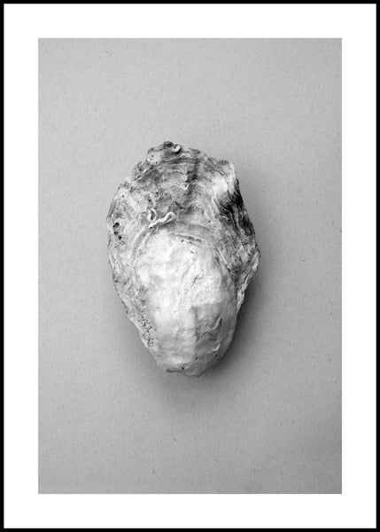 Oyster 1 | INDRAMMET BILLEDE Indrammet billede MF 30x40 Sort