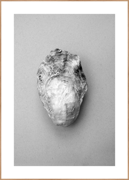 Oyster 1 | INDRAMMET BILLEDE Indrammet billede MF 30x40 Egeramme