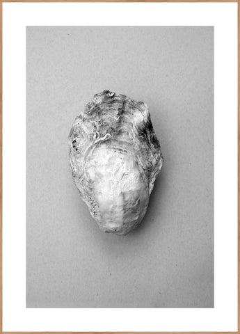 Oyster 1 | INDRAMMET BILLEDE Indrammet billede MF 30x40 Egeramme