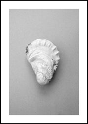 Oyster 2 | INDRAMMET BILLEDE Indrammet billede MF 30x40 Sort