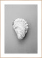 Oyster 2 | INDRAMMET BILLEDE