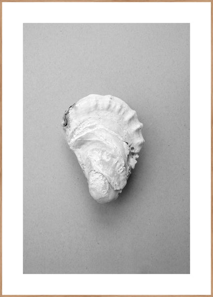 Oyster 2 | INDRAMMET BILLEDE Indrammet billede MF 30x40 Egeramme