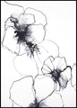 Flower line 1 | INDRAMMET BILLEDE