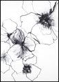 Flower line 2 | INDRAMMET BILLEDE