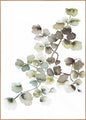 Water plants 1 | INDRAMMET BILLEDE