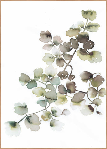 Water plants 1 | INDRAMMET BILLEDE Indrammet billede MF 30x40 Egeramme