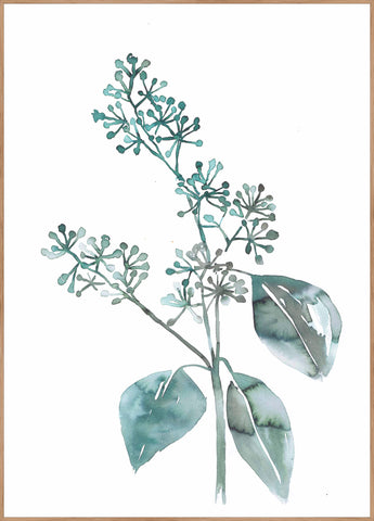 Water plants 4 | INDRAMMET BILLEDE Indrammet billede MF
