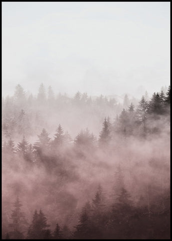 Foggy red | INDRAMMET BILLEDE Indrammet billede MF
