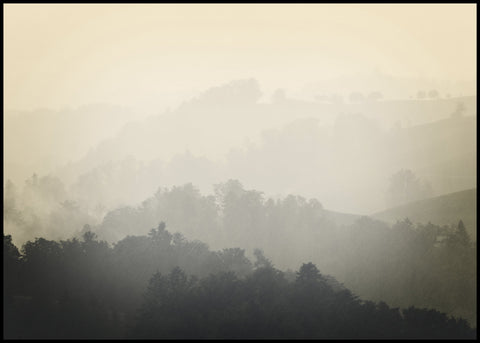 Foggy yellow | INDRAMMET BILLEDE Indrammet billede MF