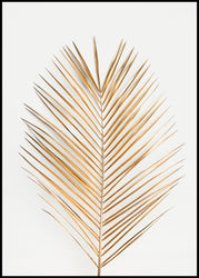 Palm Leaf Gold | INDRAMMET BILLEDE Indrammet billede MF 30x40 Sort