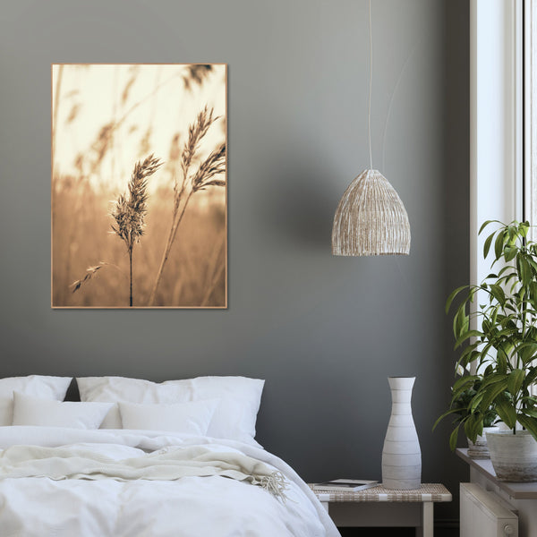 Reed 3 | INDRAMMET BILLEDE Indrammet billede MF