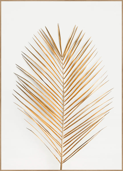 Palm Leaf Gold | INDRAMMET BILLEDE Indrammet billede MF 30x40 Egeramme