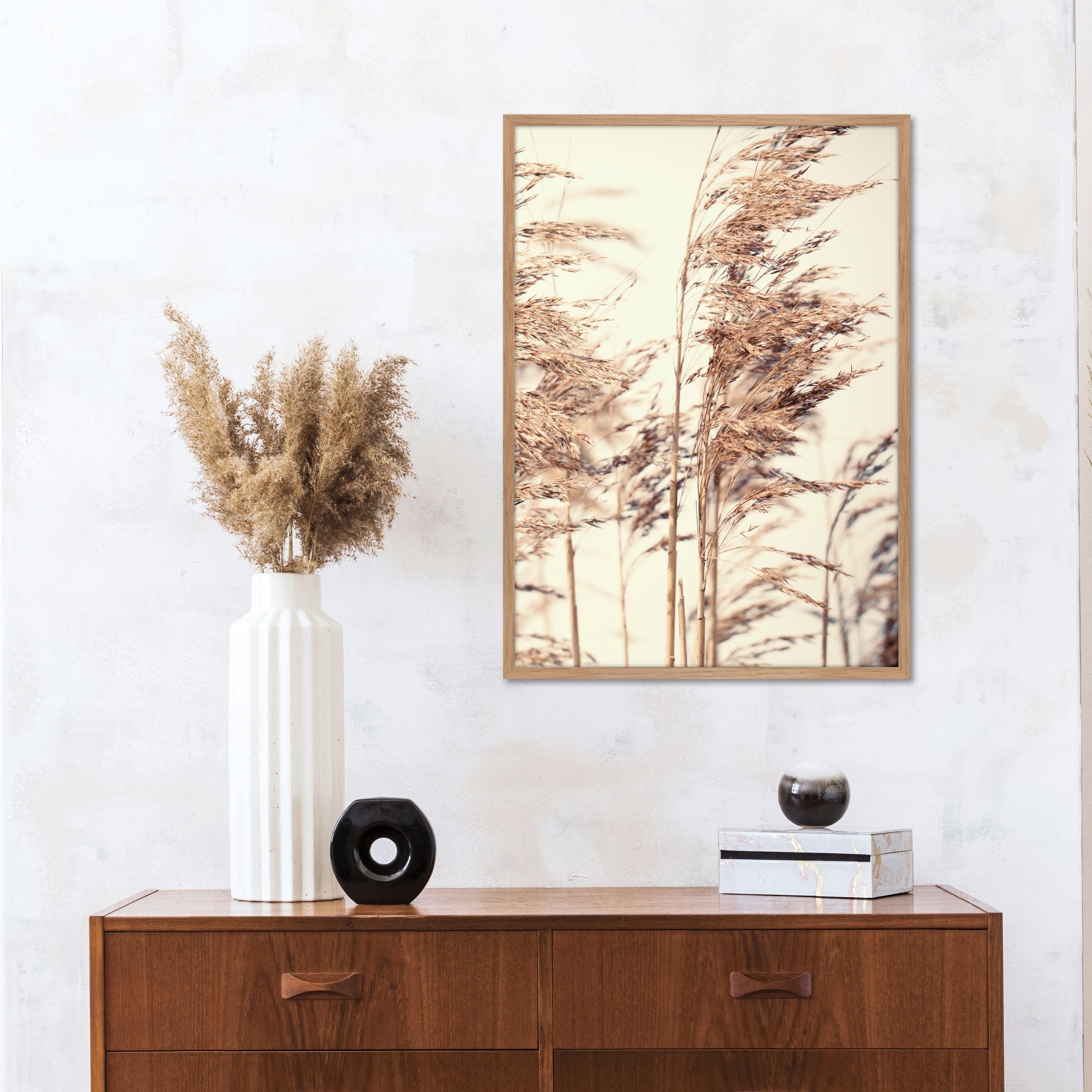 Reed 1 | PLAKAT Plakat MF