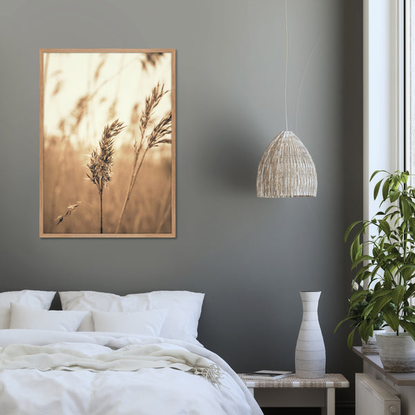 reed 3 Plakat MF