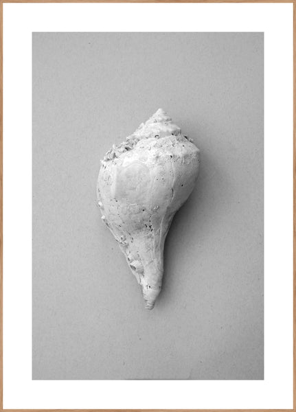 Shell | INDRAMMET BILLEDE Indrammet billede MF 30x40 Egeramme