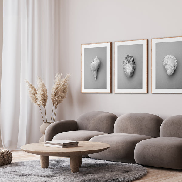 Oyster 1 | INDRAMMET BILLEDE Indrammet billede MF
