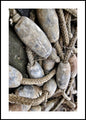 Waste | INDRAMMET BILLEDE