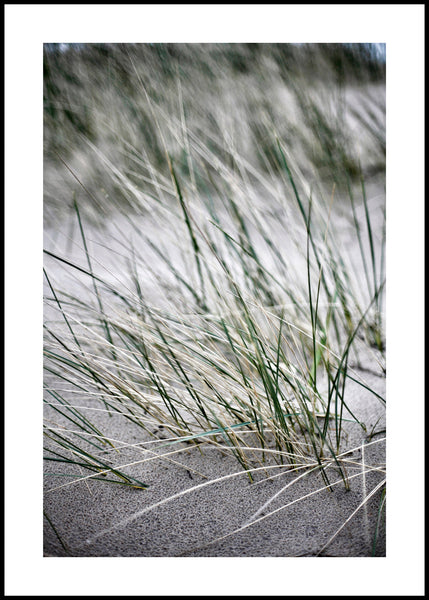 Wild straws | INDRAMMET BILLEDE Indrammet billede MF 30x40 Sort