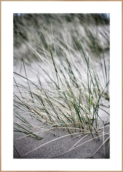 Wild straws | INDRAMMET BILLEDE Indrammet billede MF 30x40 Egeramme